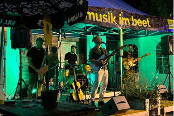 Musik im Beet