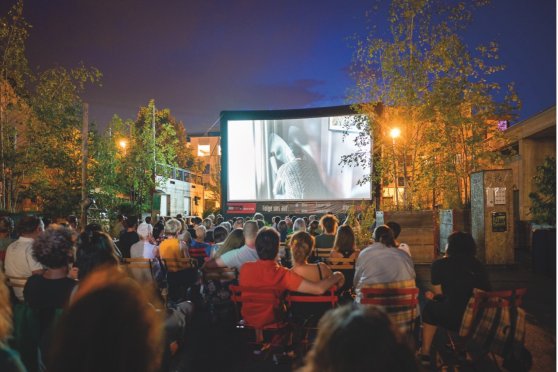 Kino im Beet