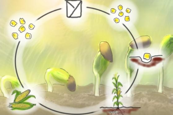 Wiedereröffnung der Saatgut-Bibliothek